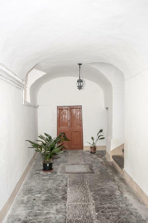 Casa Maria E Casa Cristina Leilighet Orvieto Eksteriør bilde